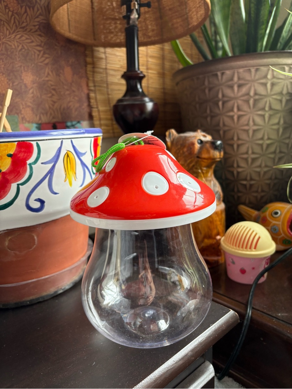 mushroom bug cage